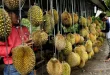 Malaysia Ajukan Durian sebagai Buah Nasional: Dampak Ekonomi & Budaya