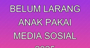 Malaysia Belum Larang Anak Pakai Media Sosial 2025