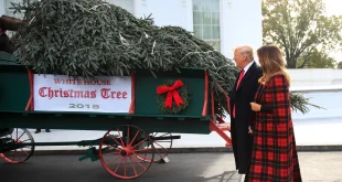 Melania Trump Sambut Pohon Natal Resmi Gedung Putih 2023