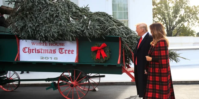 Melania Trump Sambut Pohon Natal Resmi Gedung Putih 2023