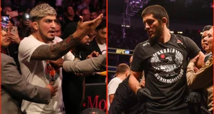 Mengapa Islam Makhachev Pukul Dillon Danis? Analisis Terbaru MMA