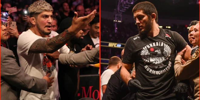 Mengapa Islam Makhachev Pukul Dillon Danis? Analisis Terbaru MMA