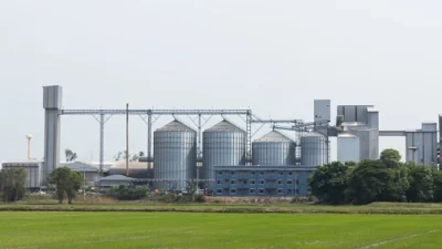 Operasi 12 Pabrik Pakan Ayam di 3 Daerah Perkuat Rantai Pasok