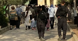 Pembakaran Masjid Al Quran di Tepi Barat: Fakta & Dampak Terbaru