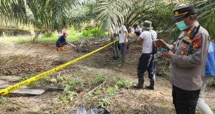 Penemuan Kerangka Kwitang: Hasil Tes DNA Dua Korban Hilang Agustus