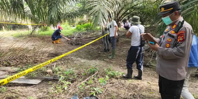Penemuan Kerangka Kwitang: Hasil Tes DNA Dua Korban Hilang Agustus