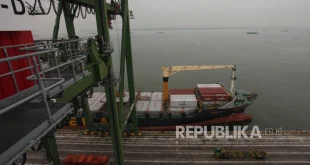 Pengungkapan 87 Kontainer Pelanggaran Ekspor CPO Terbaru