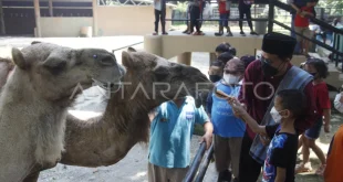Penyebar Isu Pakan Satwa Ragunan Minta Maaf Resmi
