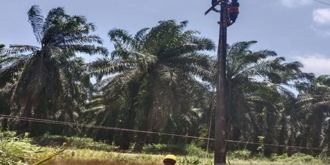 PLN Percepat Pembangunan Menara Darurat Atasi Banjir Sumatera
