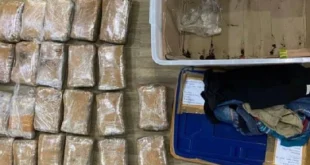 Polisi Tangsel Ungkap Jaringan Ganja Paket, Modus Baru Narkoba