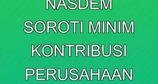 Politikus Nasdem Soroti Minim Kontribusi Perusahaan Migas Papua