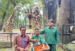 Pramono Klaim Harimau Kurus Ragunan: Fakta & Kontroversi Terbaru
