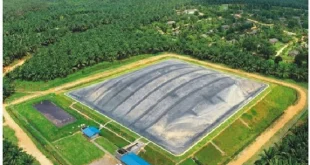 Produksi Biogas Limbah Sawit PGN 1,2 BBTUD Dukung Energi Bersih