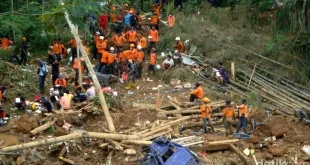 Proses Pencarian Korban Longsor Banjarnegara: Update Terkini