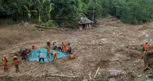 Ratusan Lubang Tambang Emas Ilegal di Gunung Halimun Salak Terungkap