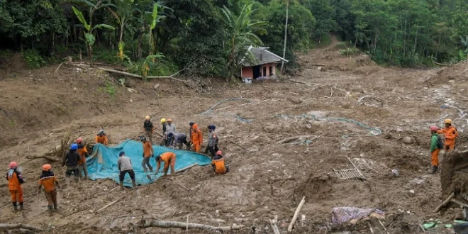 Ratusan Lubang Tambang Emas Ilegal di Gunung Halimun Salak Terungkap