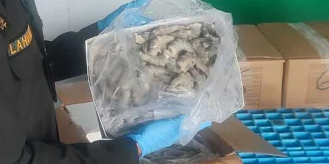 Respons Cepat Walmart atas Kontaminasi Udang Radioaktif RI