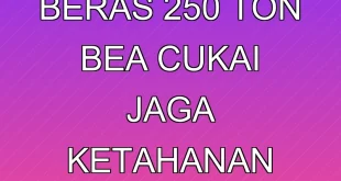 Temuan Impor Beras 250 Ton Bea Cukai Jaga Ketahanan Pangan