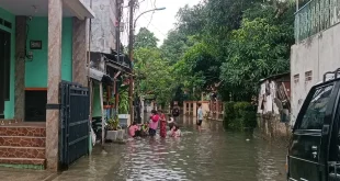 15 RT di Jakarta Terendam Banjir Hampir 1 Meter, BPBD Tanggap Darurat