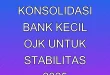 4 Strategi Konsolidasi Bank Kecil OJK untuk Stabilitas 2025