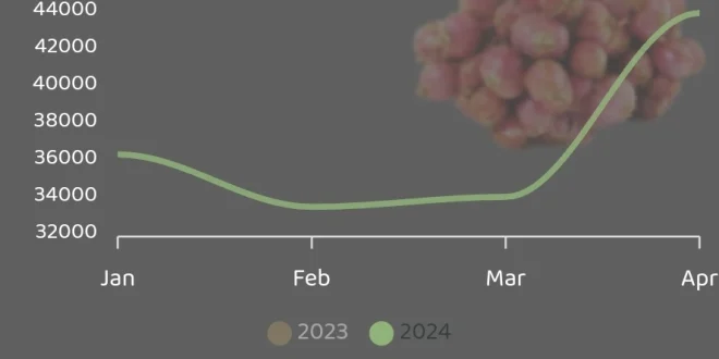 Analisis Harga Bawang Merah Desember 2025: Dampak Inflasi Pangan