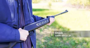 Analisis Penembakan Sydney: Pria Pahlawan Rebut Senjata Pelaku