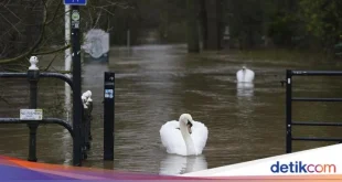 Banjir Luapan Sungai Washington AS: Update Terbaru & Evakuasi