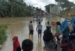 Banjir Parah Aceh: Akses Terputus di 3 Wilayah Terkini