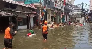Banjir Rob Jakarta Utara: Dampak dan Penanganan Terkini