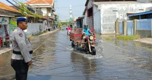 Banjir Rob Pasuruan 5 Kecamatan: Dampak & Penanganan Darurat