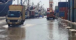 Banjir Rob Pelabuhan Sunda Kelapa: Analisis Dampak dan Mitigasi Terbaru