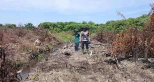 BNPB Laporkan Akses Darat Terputus di 3 Wilayah Aceh Akibat Banjir