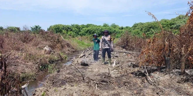 BNPB Laporkan Akses Darat Terputus di 3 Wilayah Aceh Akibat Banjir