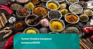 BPOM Ekspor 174 Ton Rempah Bebas Cesium-137 ke AS, Benarkah?