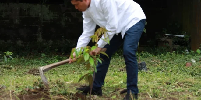 BRI Tanam Lebih dari 10.000 Pohon Dukung Keberlanjutan Lingkungan