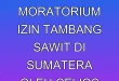 Desakan Moratorium Izin Tambang Sawit di Sumatera oleh Celios