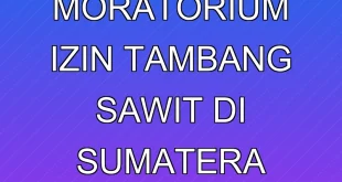 Desakan Moratorium Izin Tambang Sawit di Sumatera oleh Celios