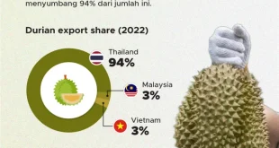 Ekspor Durian Beku Indonesia ke Cina 48 Ton 2025 Terkini