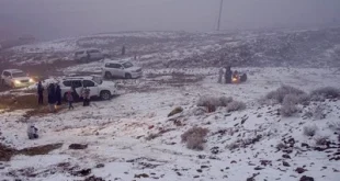 Fakta Terbaru Salju Tebal di Arab Saudi Ditolak Meteorologi