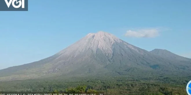Gunung Semeru 83 Kali Gempa Letusan: Status Siaga Terbaru