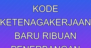 India Terapkan Kode Ketenagakerjaan Baru, Ribuan Penerbangan Dibatalkan