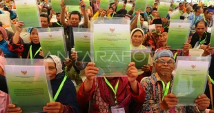 Izin Pemanfaatan Hutan Mentawai 45 Tahun PT MPL: Dampak & Proses