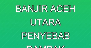 Kebakaran Truk Bantuan Banjir Aceh Utara: Penyebab & Dampak Terbaru