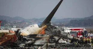 Kecelakaan Pesawat Meksiko, 7 Tewas: Penyelidikan Intensif Berjalan