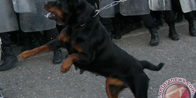 Klarifikasi Kasus Tuduhan Penyiksaan Jurnalis di Penjara Israel