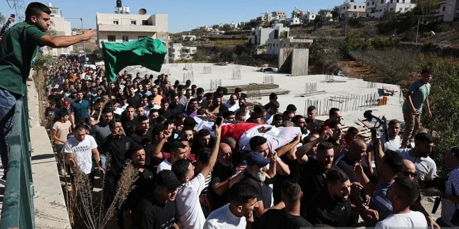 Kontroversi Israel Bunuh Ratusan Buaya di Tepi Barat