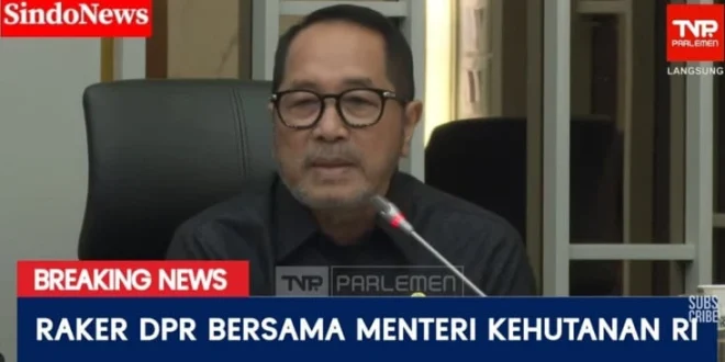 Kritik DPR pada Menhut soal Kerusakan Hutan dan Banjir Sumatera