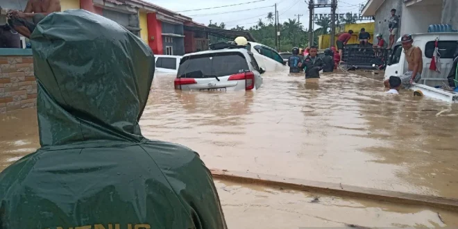 Menteri LH Ungkap 8 Perusahaan Perparah Banjir Sumut 2024