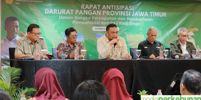 Pakar Dorong Pemda Siapkan Cadangan Pangan Darurat Efektif