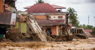 Pembalakan Liar Penyebab Banjir Sumatra, Kemenhut Tegaskan Tindakan
